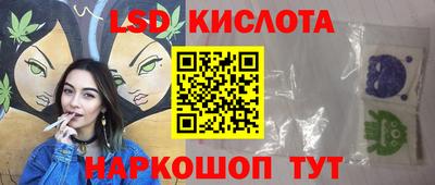 крисы Можга