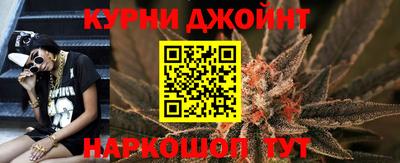 крисы Можга