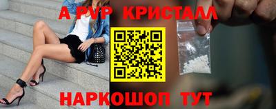 крисы Можга