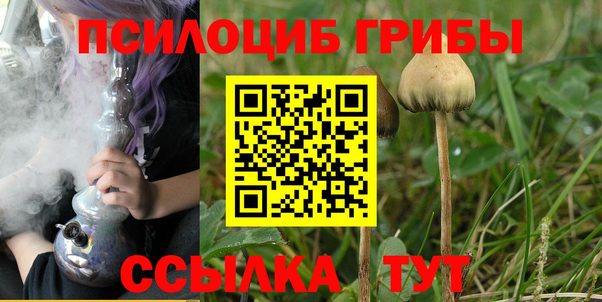 Галлюциногенные грибы Magic Shrooms  Вход с VPN  Губкинский 