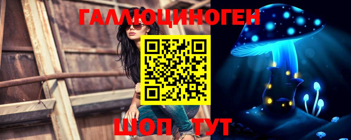 Галлюциногенные грибы мухоморы Губкинский